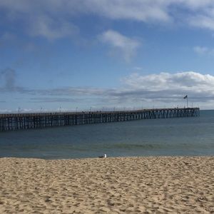 Meet your Posher, Norma